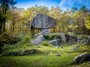 castelnau de montmiral