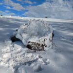 Son climat et sa nature foret 05